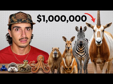 I Bought Every Exotic Animal Off the Dark Web…
