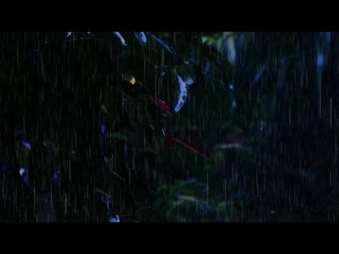 Soothing Gentle Spring Rain in the Old Park at Night | 10 Hours for Relaxation and Sleep
