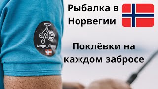 На что ловят морского окуня в норвегии
