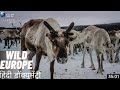 Wild Europe Wildlife Documentary In Hindi Hindi Language Documentary