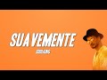Soolking - Suavemente (Paroles) [مترجمة]