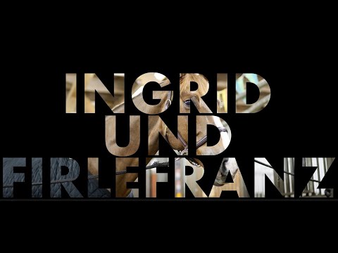 Ingrid Klimke: Lektionen leicht gemacht - Übergänge