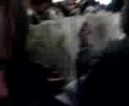 Meckes Event in Bielefeld / vid 4