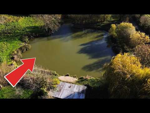 Can I catch the biggest carp out of the forgotten farm pond