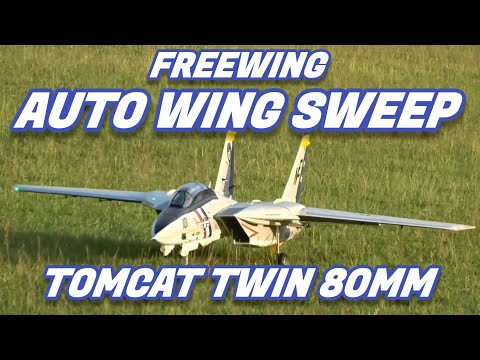 Freewing F-14 Tomcat Auto Wing Sweep Demo #rcplane #aviation #freewing #edfjet