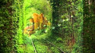 FRONT PAGE REVIEW _ SILVER CHILDREN