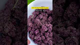 Purple Plants Guide