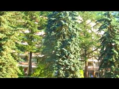 База  отдыха КРАСНАЯ ПОЛЯНА