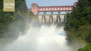 Regiones costeras de China suspenden la pesca y cierran lugares turísticos ante fuertes lluvias