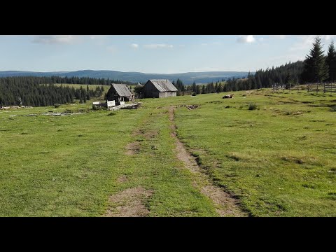 Măguri - Valea Someșului Rece