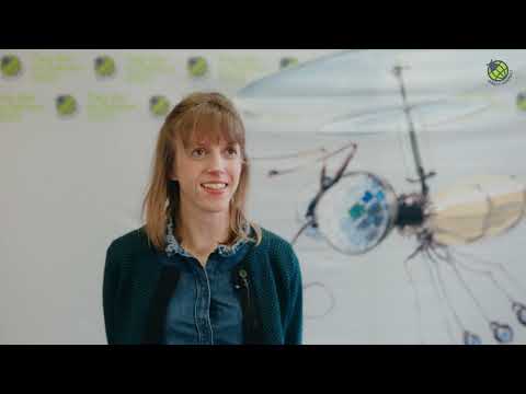 Tag der Insekten 2023 - Leonie von Uthmann