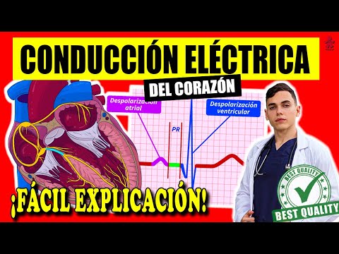 HEART CONDUCTION SYSTEM ‼️