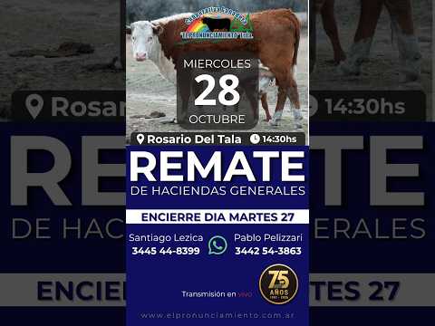 Remate de hacienda Rosario Del Tala 28-10-2026 | Coop. Ganadera El Pronunciamiento