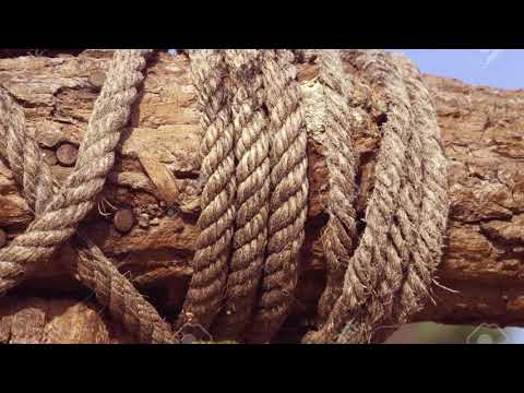 Trap in the country - Sammy Caine