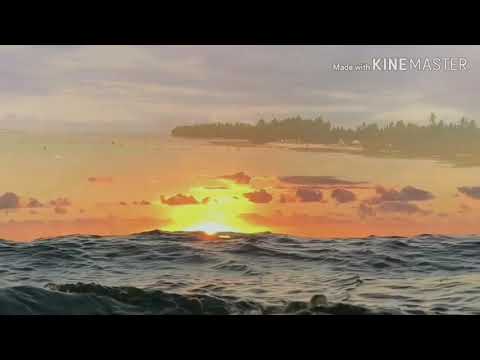 Sautalaga tautai 2019...688🇹🇻🇹🇻