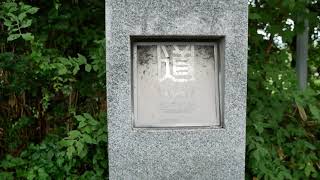 七飯町赤松並木(2024.8.28)