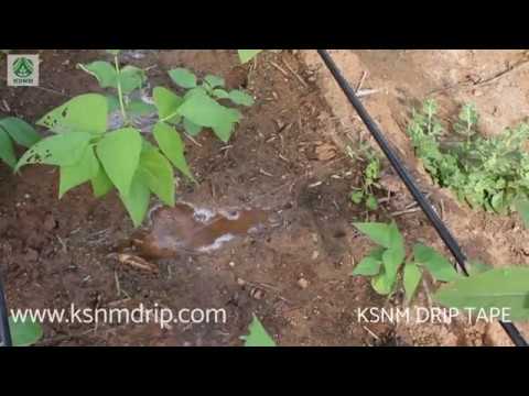 Plastic lateral irrigation system