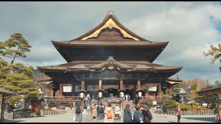 動画2