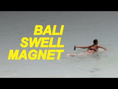 Swell Magnet Delivers