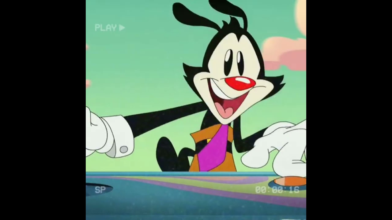 let's groove! | yakko warner edit
