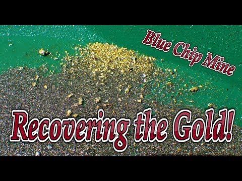 Gold recovery! Getting the gold from the Blue Chip Mine Ore.