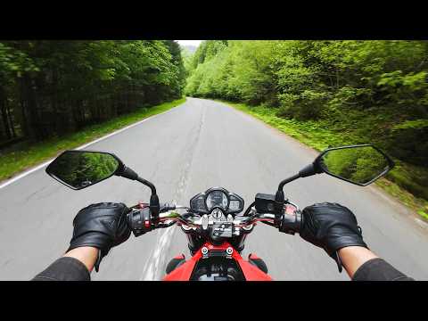 POV Forest Ride to Râuşor Dam | Romania’s Scenic Mountain Road Adventure