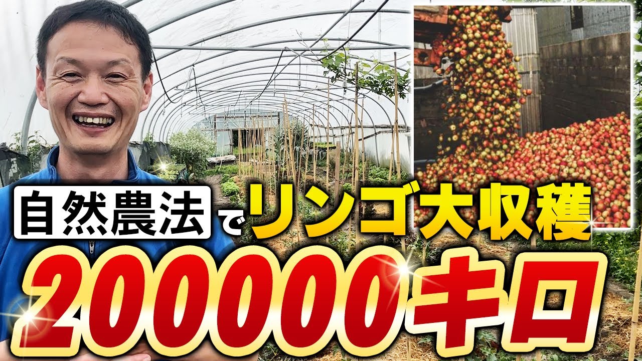 大規模果樹で年200トンの自然農法