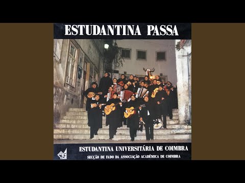 À Meia Noite ao Luar