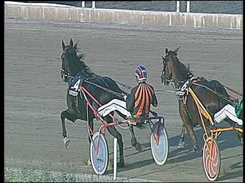 Trotto 23/10/2016 - 6ª corsa