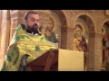 2014-06-08 Проповедь отца Александра Сорокина в день св. Троицы 