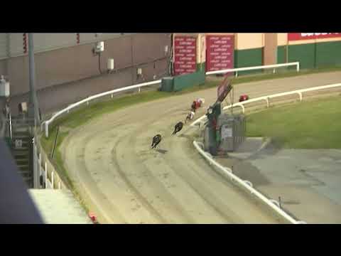 2019 CESAREWITCH -HEAT 3 - T2 AAYAMZA BREEZE