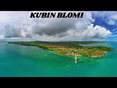 KUBIN BLOMI - PNG Music 2025 (J.R New Sound Production)