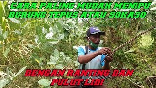 Download lagu Cara sederhana mikat burung tepus/sokaso dengan stik lidi mp3