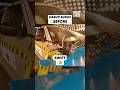 Maruti Suzuki Car Safety Before Vs Now