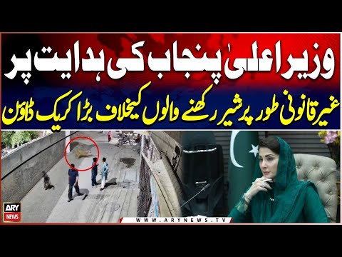 Major Crackdown Against Illegal Lion Owners on Punjab CM's Orders