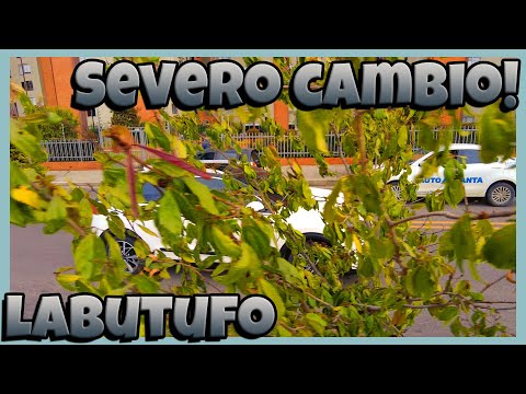 SEVERO cambio - Le hacia falta a LABITUFO - Estilo más Deportivo