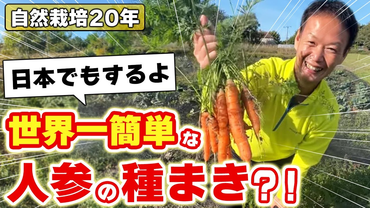 世界一簡単なニンジンの種まき法