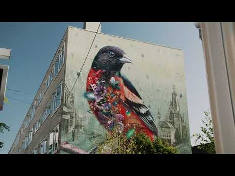 Nijmegen: Old City, Young Vibe (Deutsch)