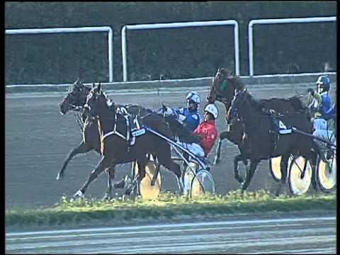 Trotto 21/01/2016 - 4° corsa