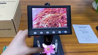 BM310 Small Mobile Phones Unlocked Bluetooth Earphone Telephone Lo