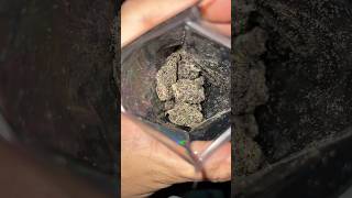 Video 36