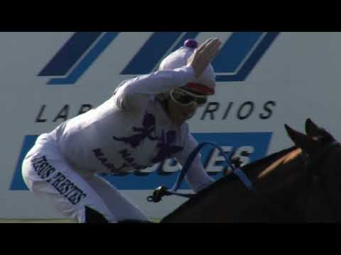 230625 c03 MR. BINGO