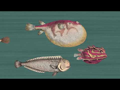 Fornasetti Wallpaper