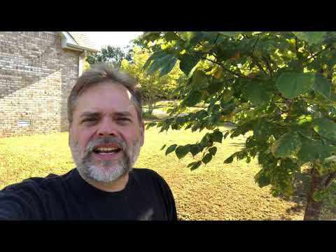 Life's Hard. Dulcimer playing shouldn't be.