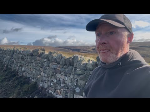 Continuing my stretch of stonewall 