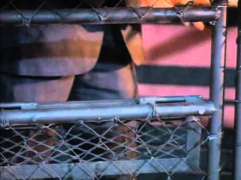 Shootfighter Fight to the Death