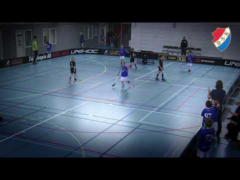 DSK P10 - Innebandycup Waxholm 190310
