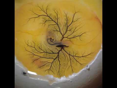 This clip shows an injection process