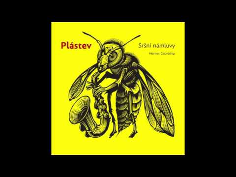 Plástev - Drůnek nad hlavou (Aleš Faix)