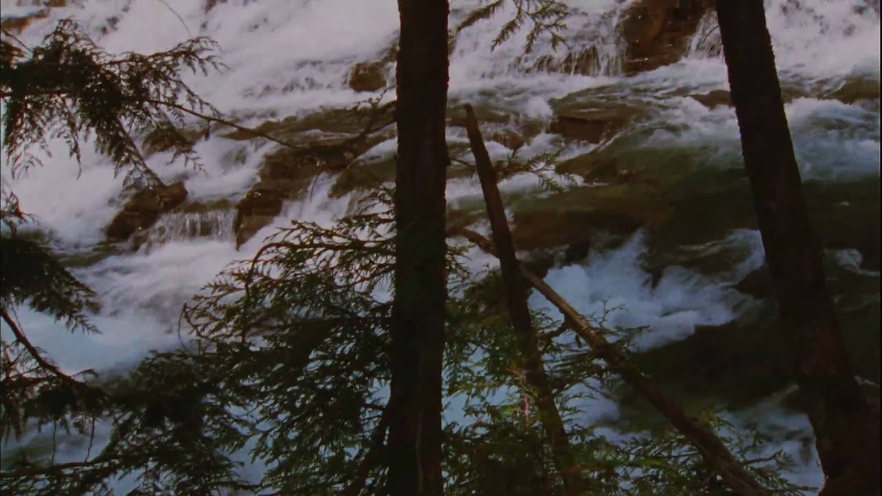 The National Parks: America's Best Idea
